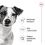 ROYAL CANIN Mini Adult granule pre dospel&yacute;ch psov mal&yacute;ch plemien 8 kg + 12 kapsičiek ZADARMO