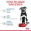 Royal Canin Maxi Puppy granule pre &scaron;teňat&aacute; veľk&yacute;ch plemien 15 kg - PO&Scaron;KODEN&Yacute; OBAL