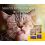 JOSERA Culinesse 2 kg + Lick mat ZADARMO