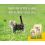 JOSERA Kitten Grainfree 2 kg + Lick mat ZADARMO