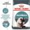 Royal Canin Hairball Care granule pre mačky pre správne vylučovanie 10 kg