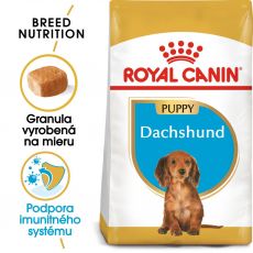 ROYAL CANIN Dachshund Puppy granule pre šteňa jazvečíka 1,5 kg