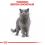 Royal Canin British Shorthair Adult granule pre britské krátkosrsté mačky 400 g