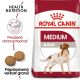 ROYAL CANIN Medium Adult granule pre dospelé stredné psy 4 kg