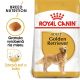 ROYAL CANIN Golden Retriever Adult granule pre dospelého zlatého retrievera 12 kg
