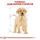 ROYAL CANIN Labrador Puppy granule pre šteňa labradora 12 kg