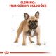 ROYAL CANIN French Bulldog Adult granule pre dospelého francúzskeho buldočka 9 kg