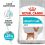 Royal Canin Mini Urinary Care granuly pre psy s obličkovými problémami 1 kg