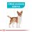 Royal Canin Mini Urinary Care granuly pre psy s obličkovými problémami 1 kg