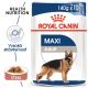 Royal Canin Maxi Adult kapsička pre dospelé veľké psy 140 g