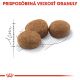 Royal Canin Sterilised granule pre kastrované mačky 10 kg