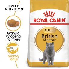 ROYAL CANIN British Shorthair Adult 10 kg granule pre dospelé britské krátkosrsté mačky