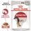 Royal Canin Instinctive Gravy kapsička pre mačky v šťave 36 x 85 g