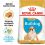 ROYAL CANIN Bulldog Puppy granule pre &scaron;teňa buldoga 12 kg