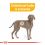 ROYAL CANIN Maxi Dermacomfort granule pre veľké psy s problémami s kožou 2 x 12 kg