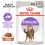 Royal Canin Sterilised Gravy kapsička pre kastrované mačky v šťave 24 x 85 g
