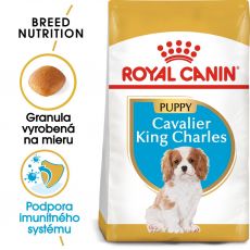 ROYAL CANIN Cavalier King Charles Puppy granule pre šteňa gavalieršpaniela 1,5 kg