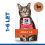 Hill's Science Plan Feline Adult Lamb & Rice 2 x 10 kg