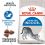 ROYAL CANIN Indoor granule pre dospel&eacute; mačky chovan&eacute; v byte 10 kg + 12 kapsičiek ZADARMO