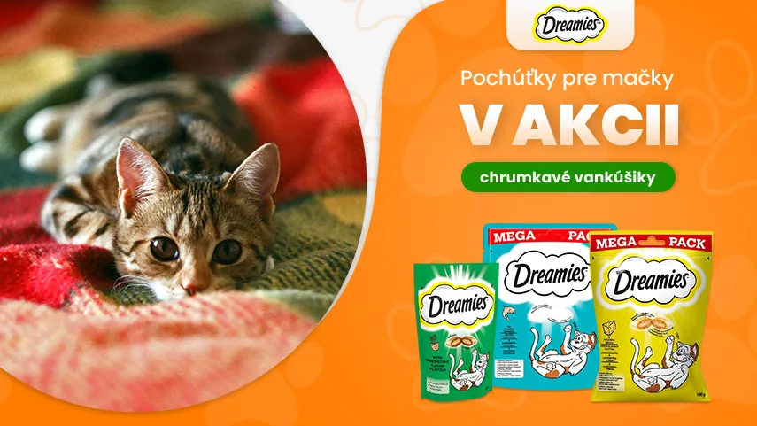 Dreamies v akcii